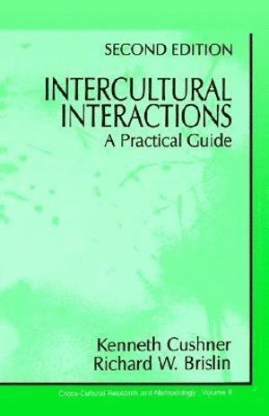 bokomslag Intercultural Interactions