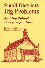 Small Districts, Big Problems