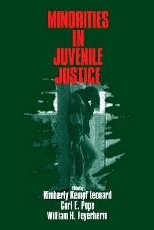 Kimberly Kempf Leonard, Kimberley Kempf Leonard, Carl E. Pope, William Feyerherm - Minorities in Juvenile Justice, Häftad