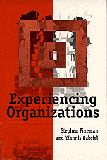 bokomslag Experiencing Organizations