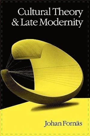 bokomslag Cultural Theory and Late Modernity