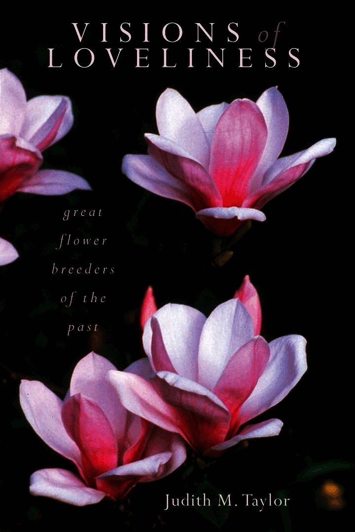 Judith M. Taylor - Visions of Loveliness, Inbunden