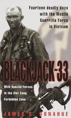 bokomslag Blackjack-33