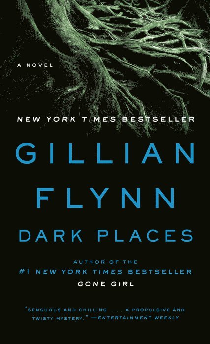 Gillian Flynn - Dark Places, Pocket