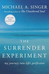 bokomslag The Surrender Experiment