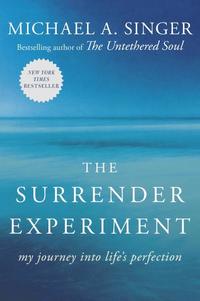 bokomslag The Surrender Experiment: My Journey Into Life's Perfection