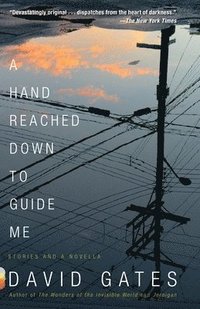 bokomslag A Hand Reached Down to Guide Me: Stories and a Novella