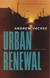 bokomslag Urban Renewal