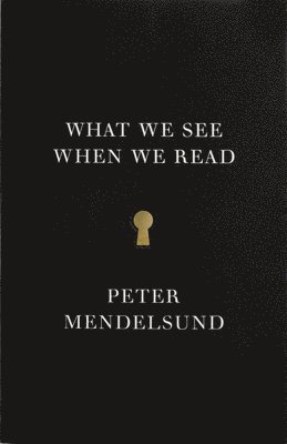 bokomslag What We See When We Read