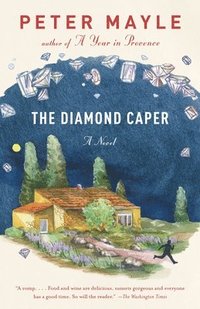 bokomslag Diamond Caper