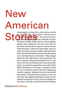 bokomslag New American Stories