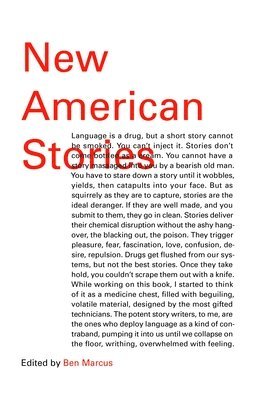 New American Stories 1