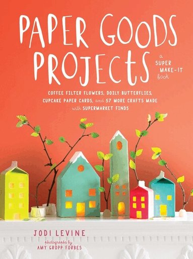 J Levine - Paper Goods Projects, Häftad