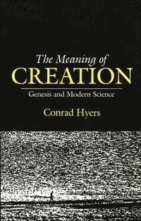 bokomslag The Meaning of Creation: Genesis and Modern Science