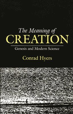bokomslag The Meaning of Creation