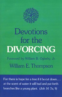 bokomslag Devotions for the Divorcing