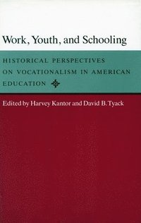 bokomslag Work, Youth, and Schooling