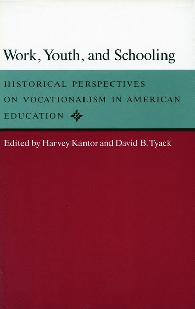 bokomslag Work, Youth, and Schooling