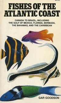 bokomslag Fishes of the Atlantic Coast