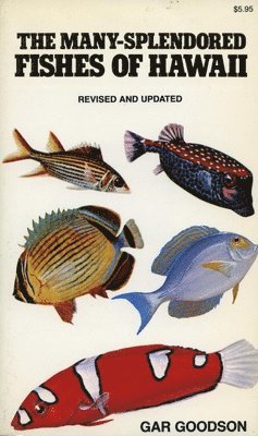 bokomslag The Many-Splendored Fishes of Hawaii