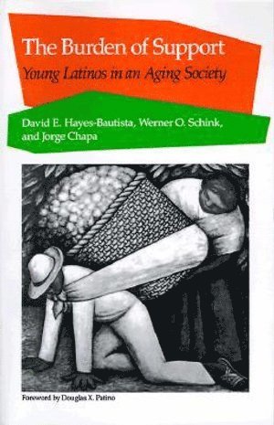 David E. Hayes-Bautista, Werner O. Schink, Jorge Chapa, David E Hayes-Bautista, Werner O Schink - Burden of Support, Häftad
