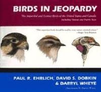 bokomslag Birds in Jeopardy