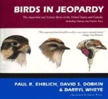 bokomslag Birds in Jeopardy