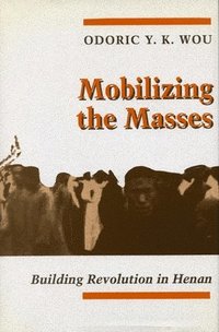 bokomslag Mobilizing the Masses