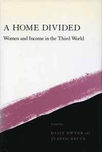 bokomslag A Home Divided