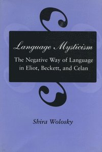 bokomslag Language Mysticism