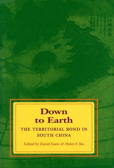 David Faure, Helen F. Siu - Down to Earth, Häftad
