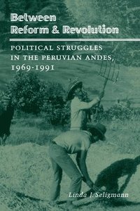bokomslag Between Reform and Revolution: Political Struggles in the Peruvian Andes, 1969-1991