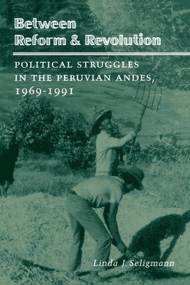 bokomslag Between Reform and Revolution: Political Struggles in the Peruvian Andes, 1969-1991