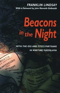bokomslag Beacons in the Night