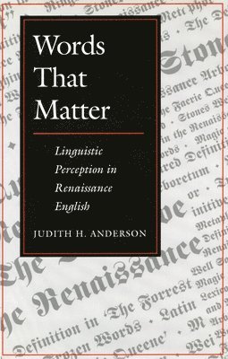 bokomslag Words That Matter: Linguistic Perception in Renaissance English