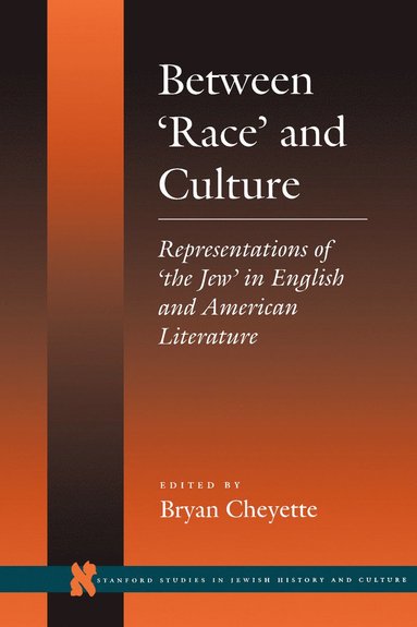 bokomslag Between 'Race' and Culture