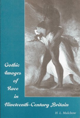 bokomslag Gothic Images of Race in Nineteenth-Century England