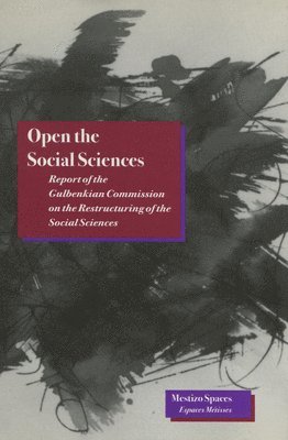 bokomslag Open the Social Sciences