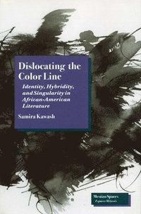bokomslag Dislocating the Color Line: Identity, Hybridity, and Singularity in African-American Narrative
