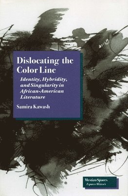 bokomslag Dislocating the Color Line: Identity, Hybridity, and Singularity in African-American Narrative