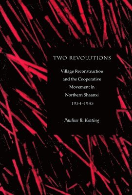 bokomslag Two Revolutions: Village Reconstruction and the Cooperative Movement in Northern Shaanxi, 1934-1945
