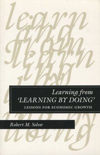 bokomslag Learning from Learning by Doing