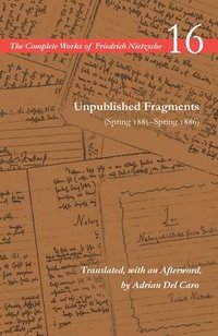 bokomslag Unpublished Fragments (Spring 1885Spring 1886)