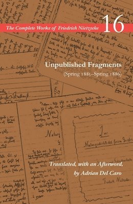Unpublished Fragments (Spring 1885Spring 1886) 1