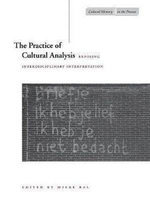 Mieke Bal - Practice of Cultural Analysis, Inbunden