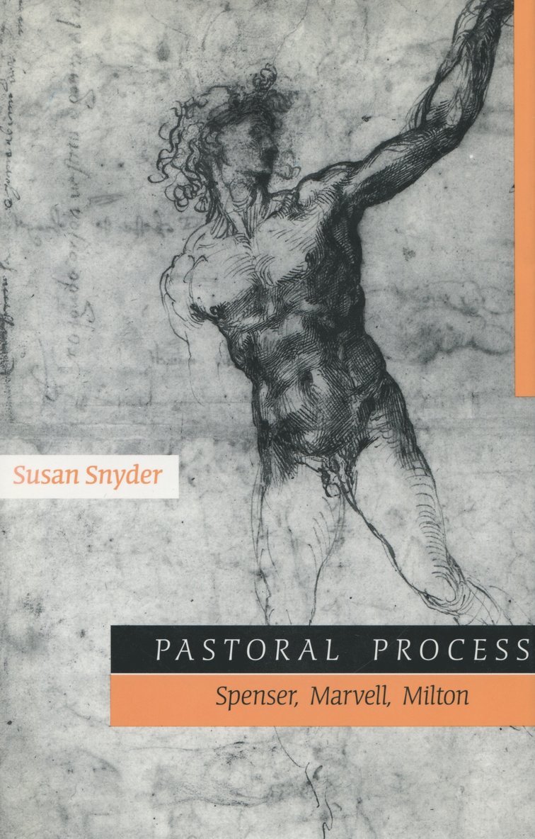 Susan Snyder - Pastoral Process, Inbunden