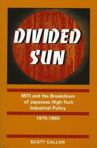 bokomslag Divided Sun