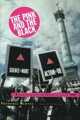 bokomslag Pink and the Black: Homosexuals in France Since 1968