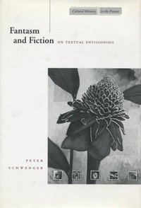 bokomslag Fantasm and Fiction: On Textual Envisioning