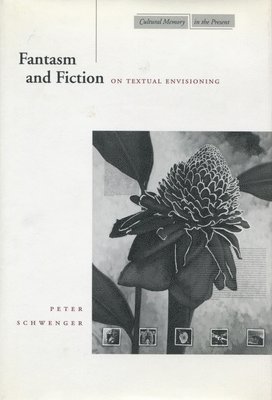 bokomslag Fantasm and Fiction: On Textual Envisioning
